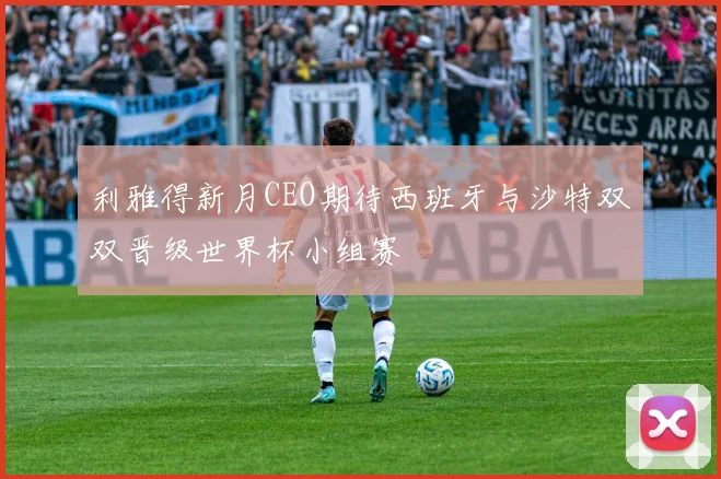 利雅得新月CEO期待西班牙与沙特双双晋级世界杯小组赛